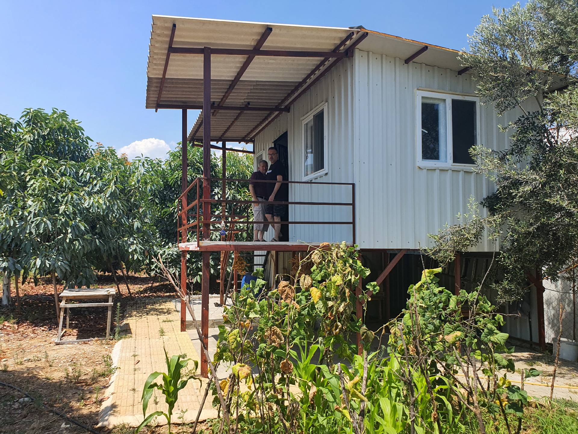 Anamur Mustakil Tapulu Satılık Avokado Bahçesi Resim 10