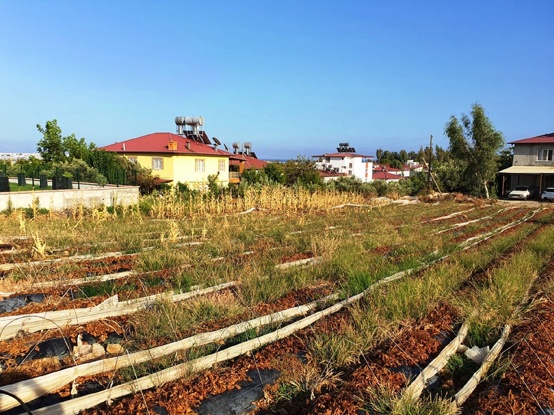 Anamur Oren Satılık Villa Arsaları Resim 4