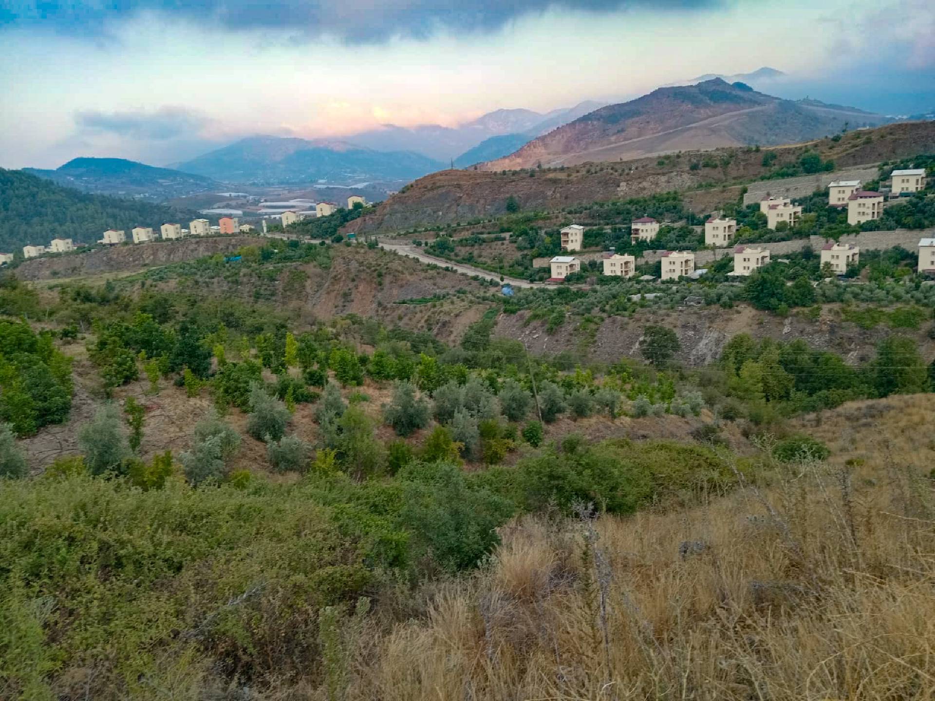 Anamur Evciler Satılık Avokado Bahçesi Resim 5