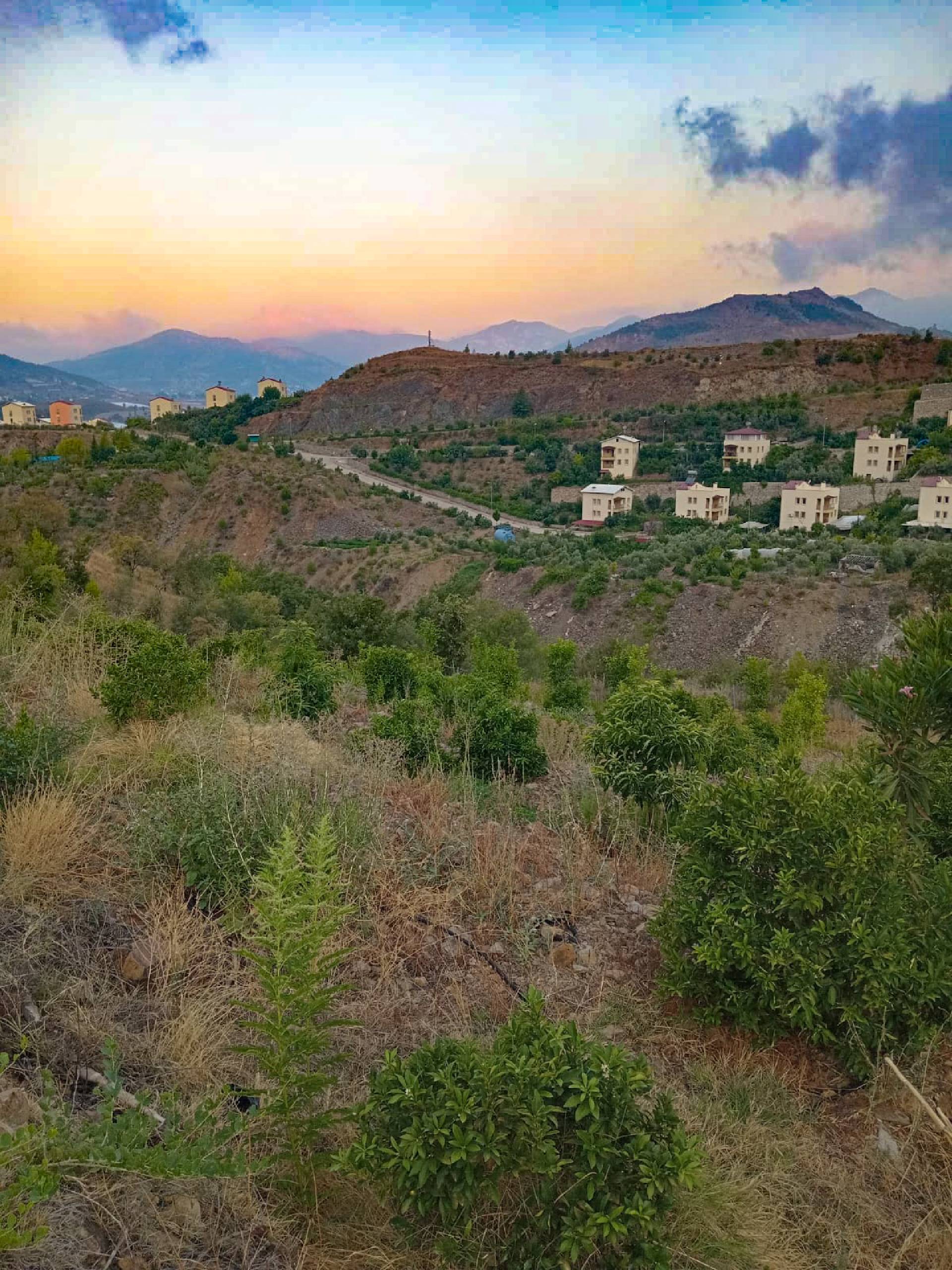 Anamur Evciler Satılık Avokado Bahçesi Resim 7