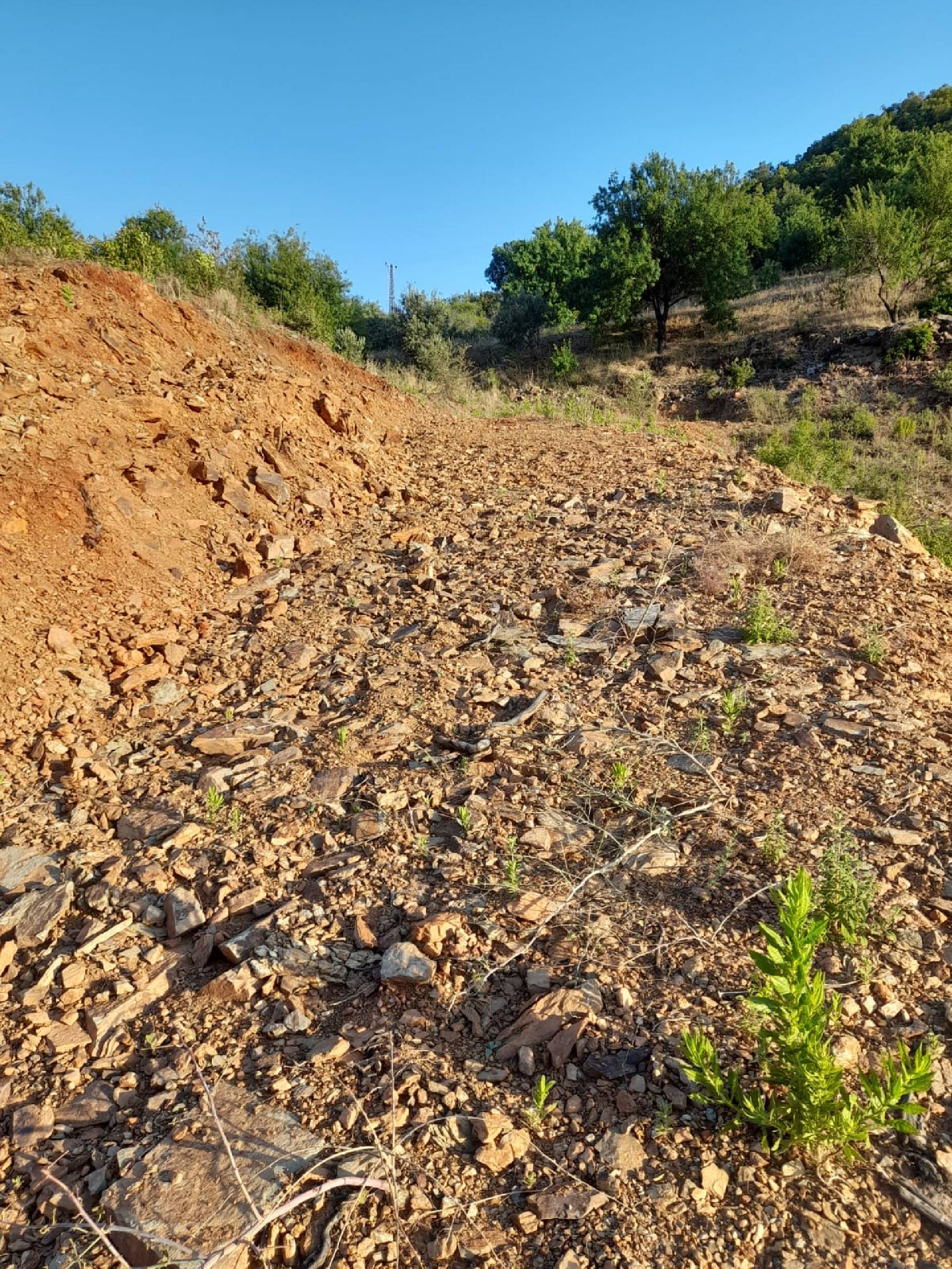 Anamur Demiroren(melleç)satılık Tarla Resim 4