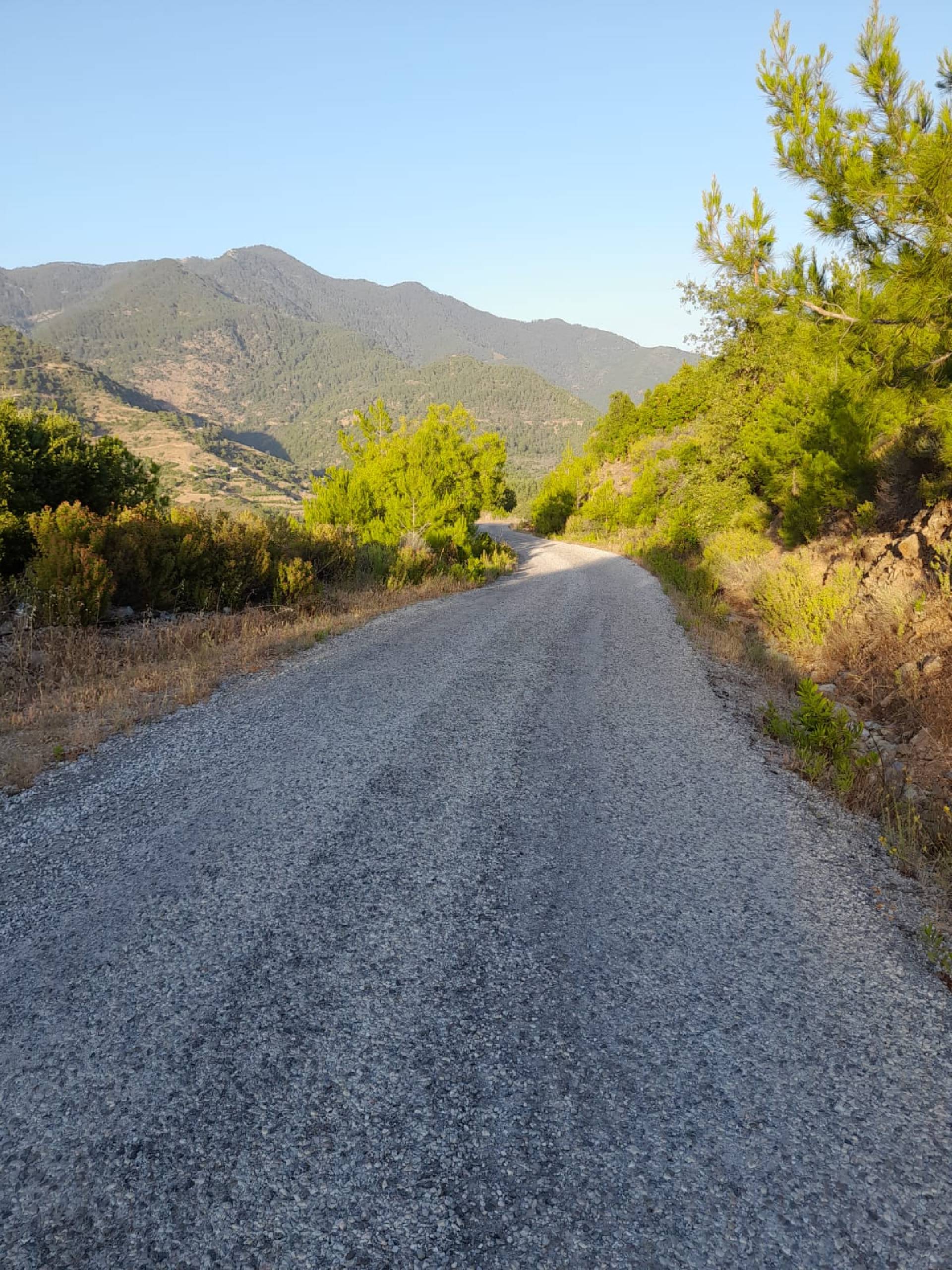 Anamur Demiroren(melleç)satılık Tarla Resim 9