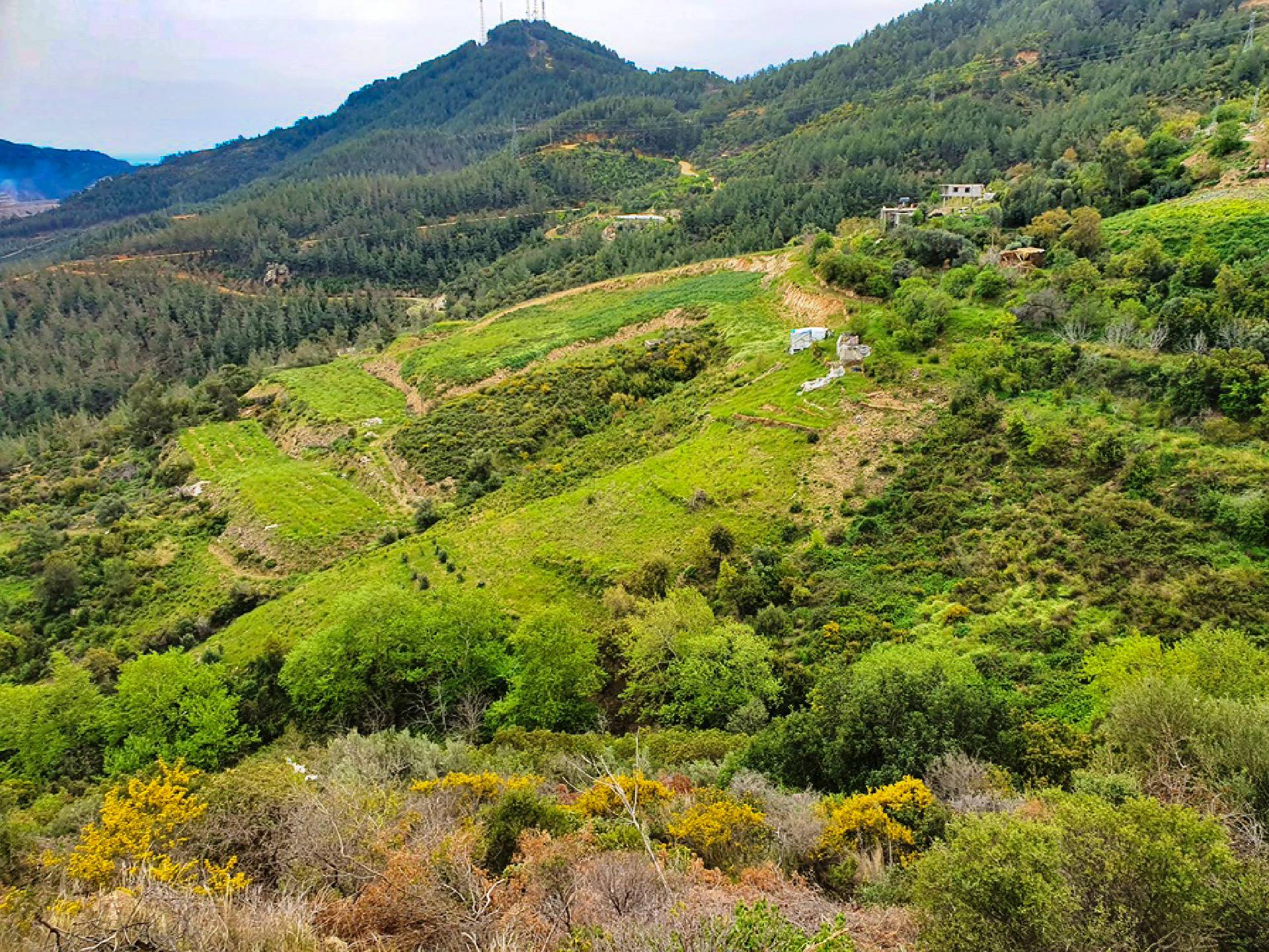 Anamur Kızılaliler Satılık Mustakil Tapulu Tarla Resim 6