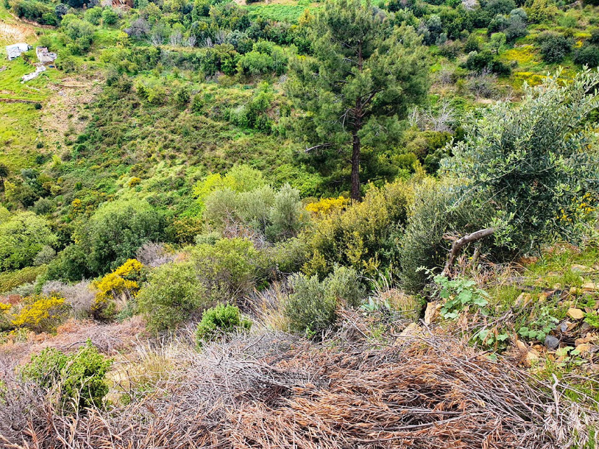 Anamur Kızılaliler Satılık Mustakil Tapulu Tarla Resim 8